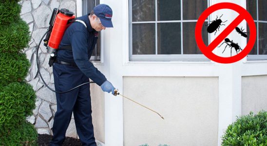 Güneysu Kene İlaçlama böcek ilaçlama ve haşere kontrolü — ilaclama-tr.com